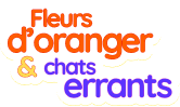 logo Fleurs d'oranger & chats errants